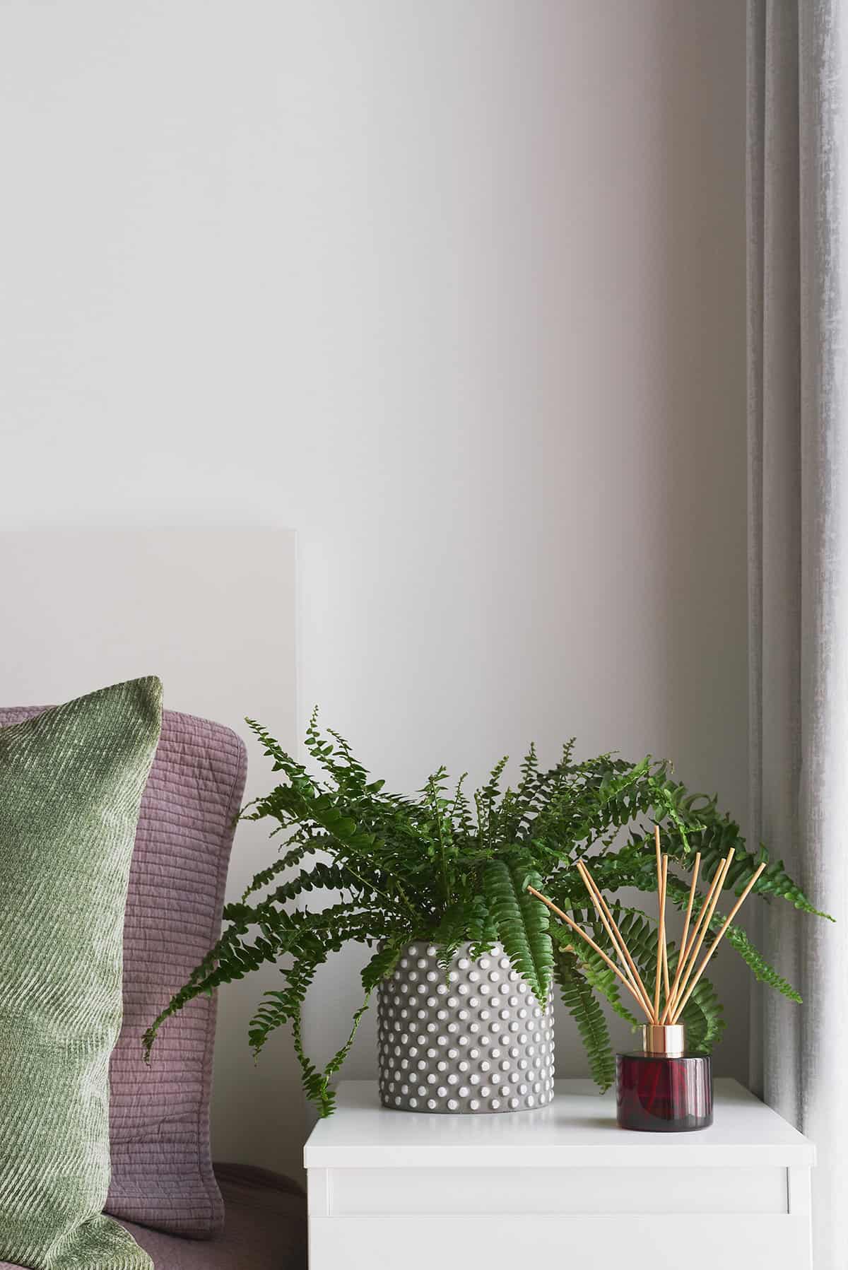 Fresh Greens with Tactile Contrast
