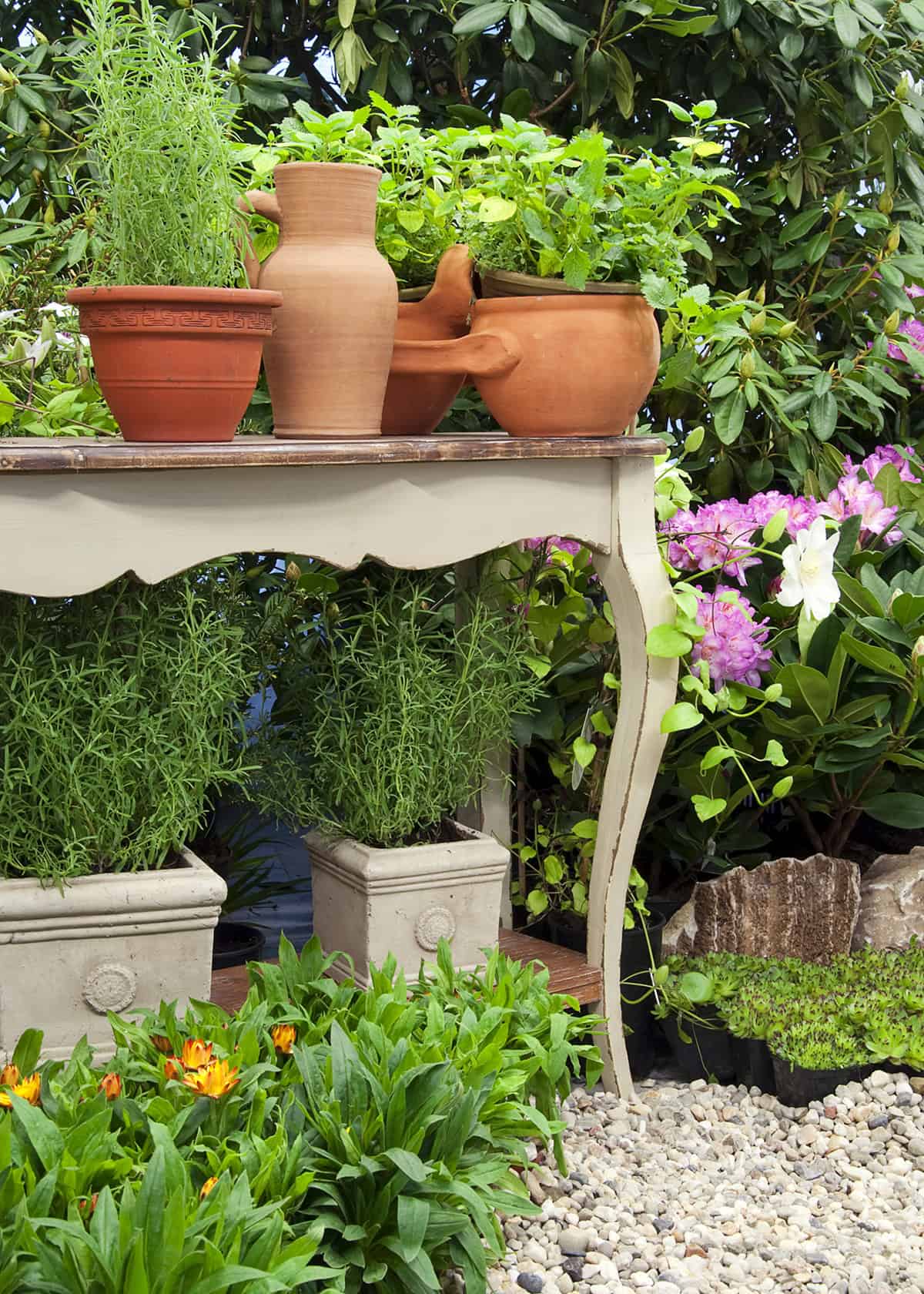Functional Herb Garden on the Patio