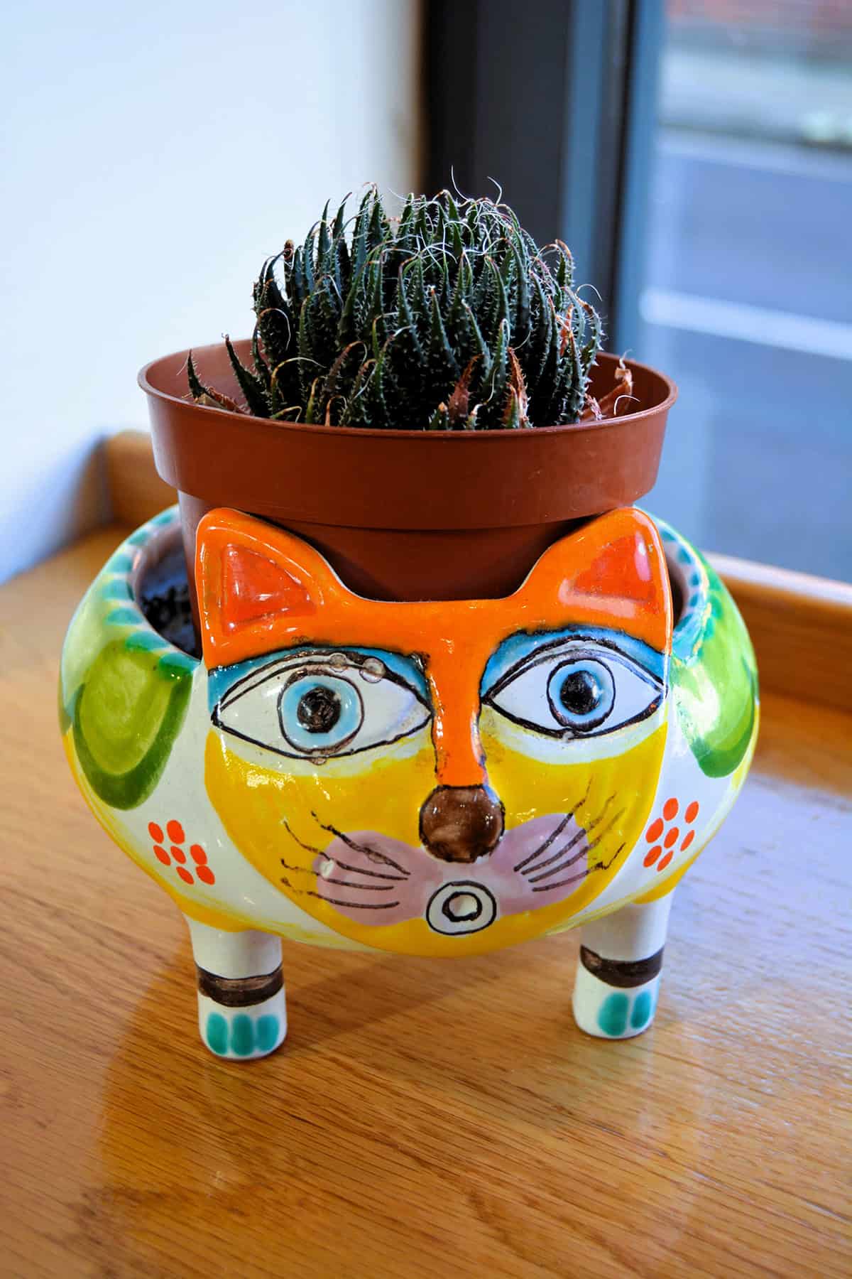 Funky Cat Pot with Spiky Plant