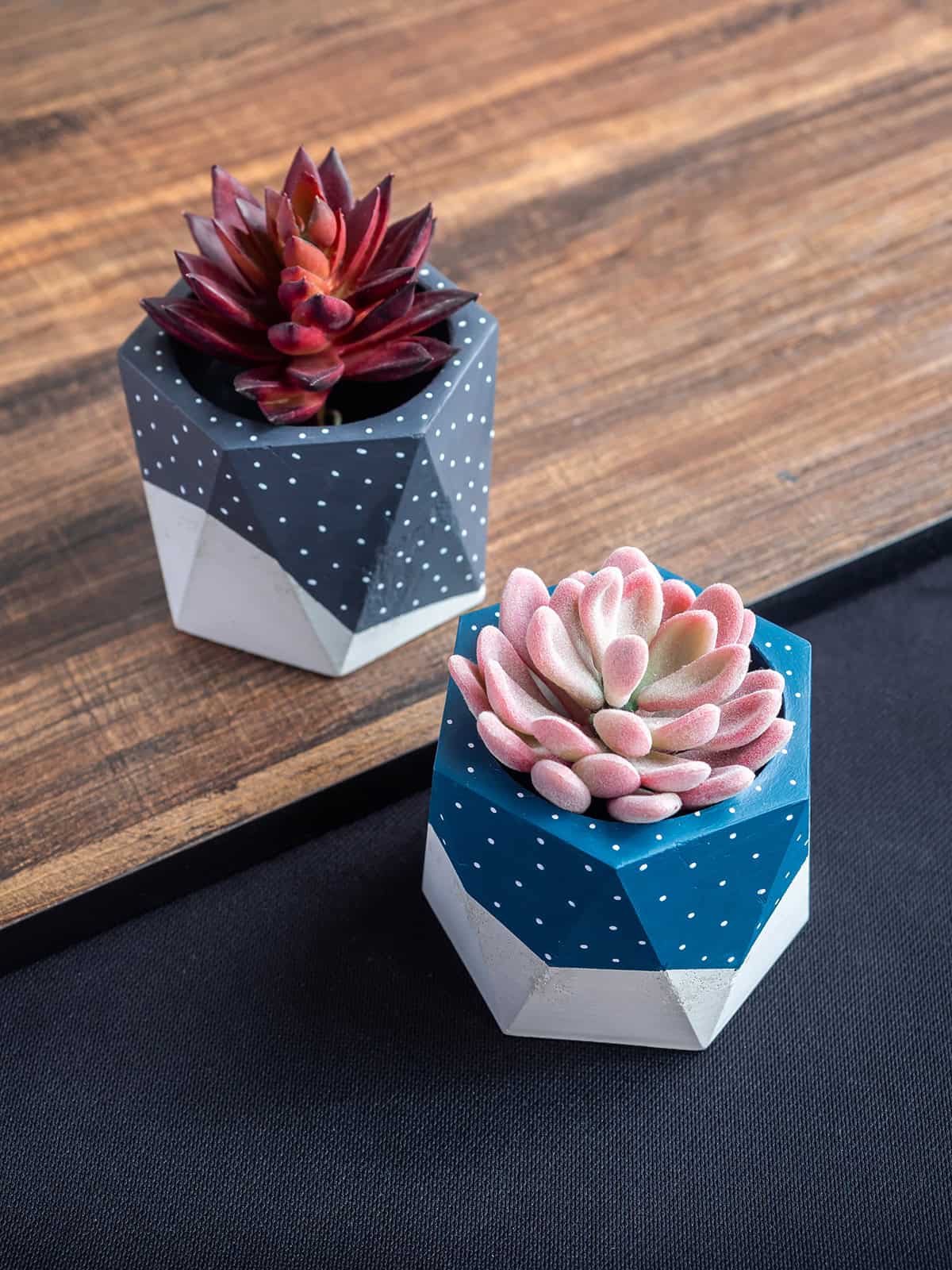 Geometric Mini Planters with Personality