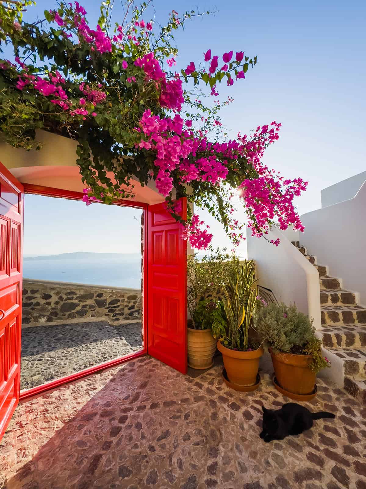 Greek Island Patio with Bougainvillea and Red Door