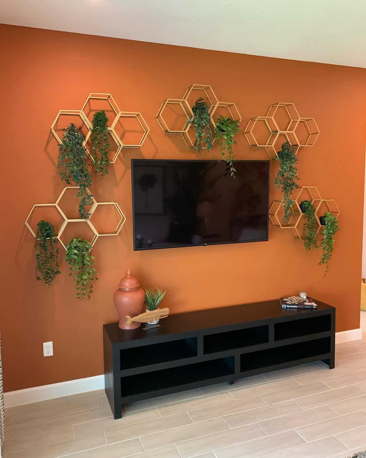Hexagonal Cubbies