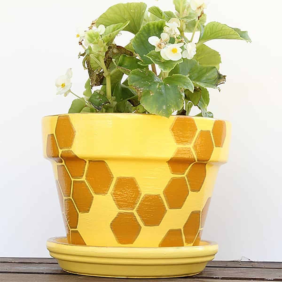 Honeycomb