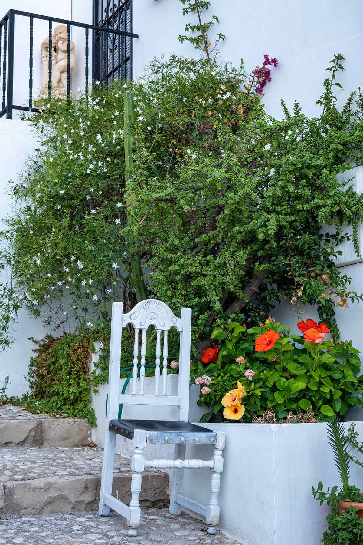 Mediterranean Inspired Garden Corner