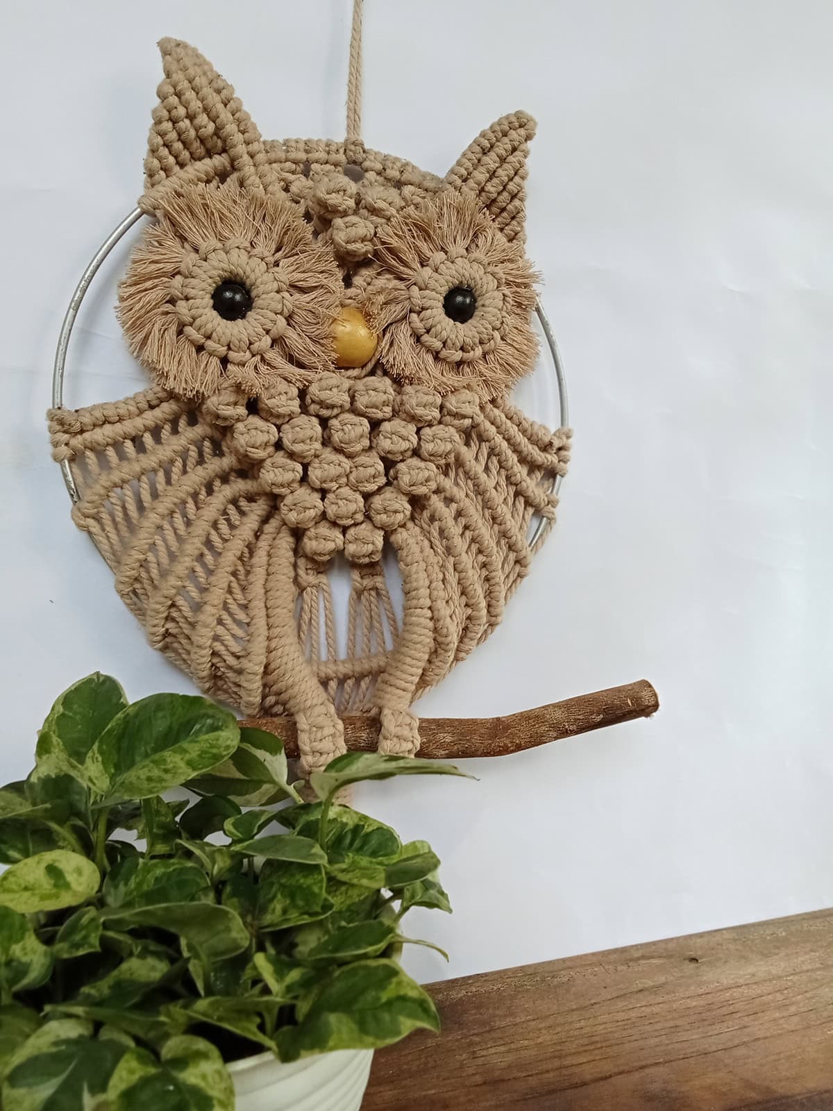 Owl Shaped Rope Macrame with Plant Accent