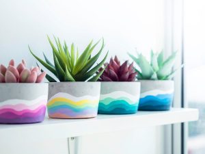 Painted Flower Pot Ideas