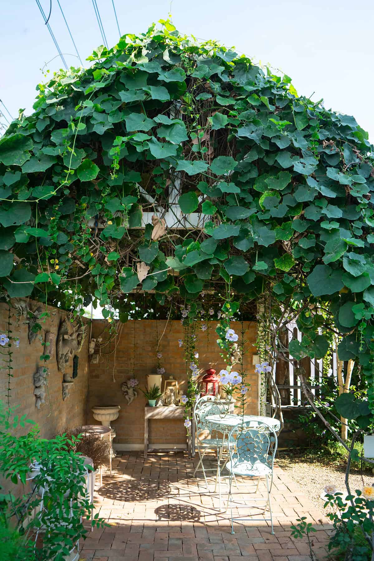 Pergola Dining Corner in an Urban Garden