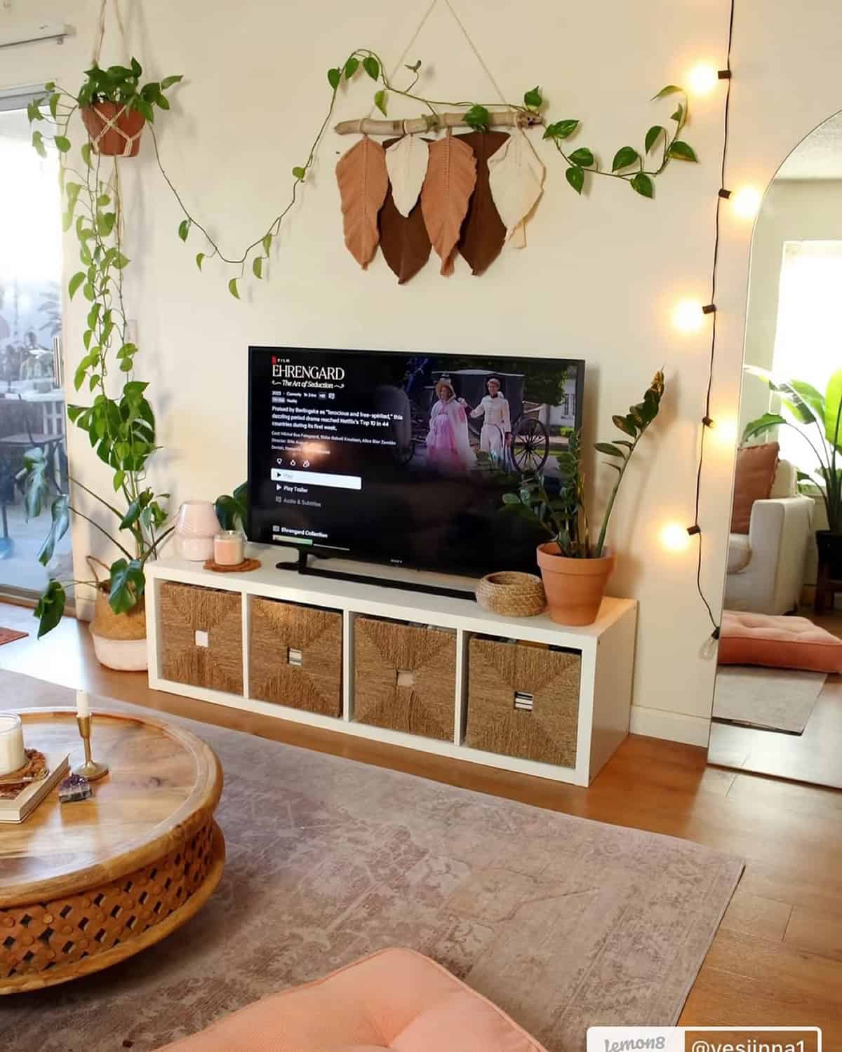 Plant Vines
