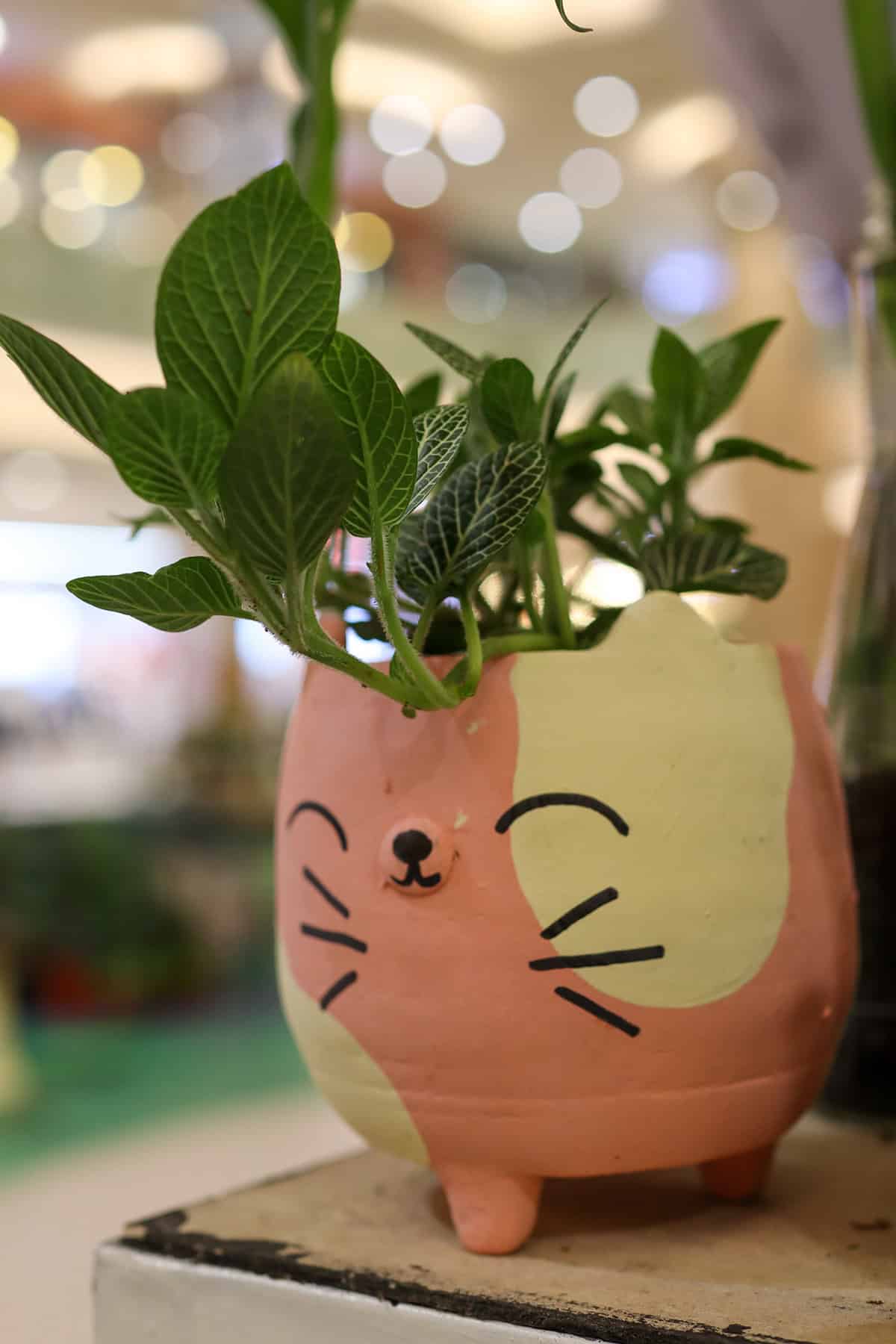 Playful Cat Pot with a Leafy Surprise