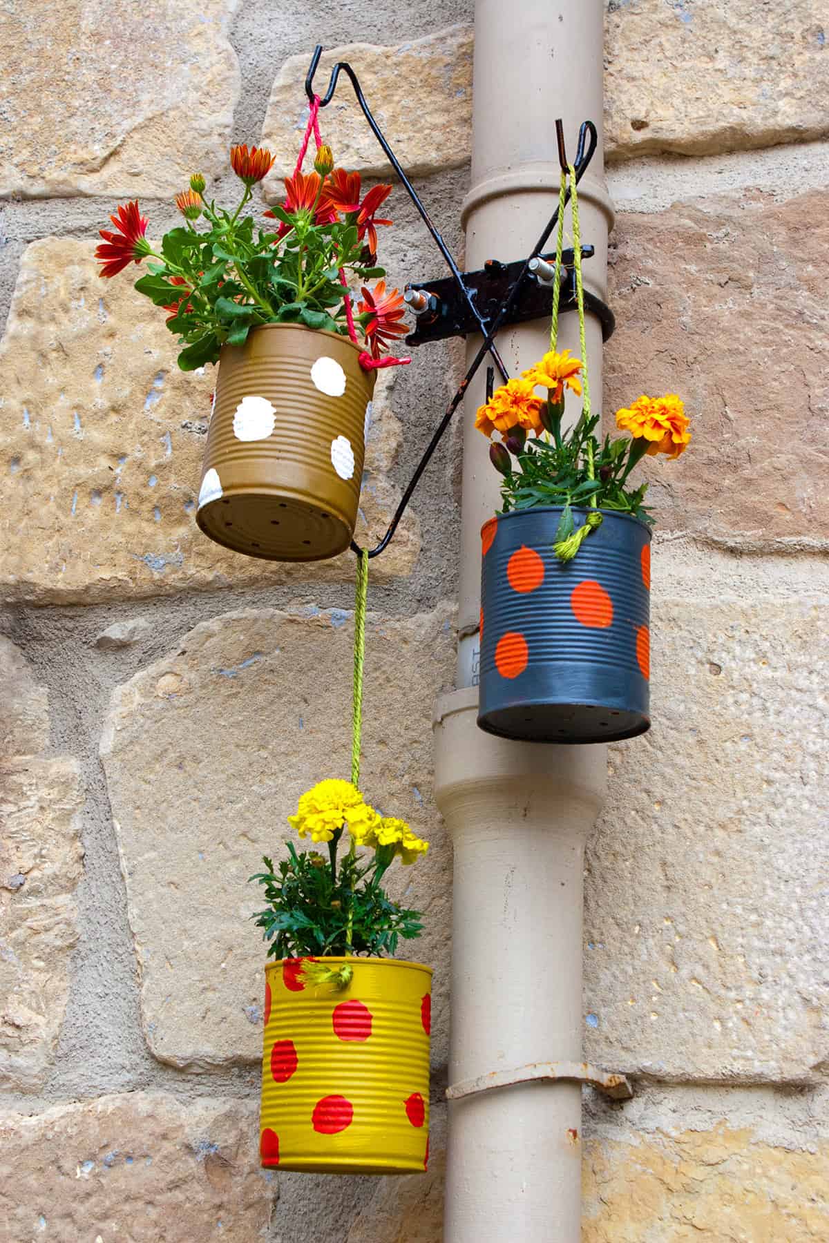 Polka Dot Tin Can Planters