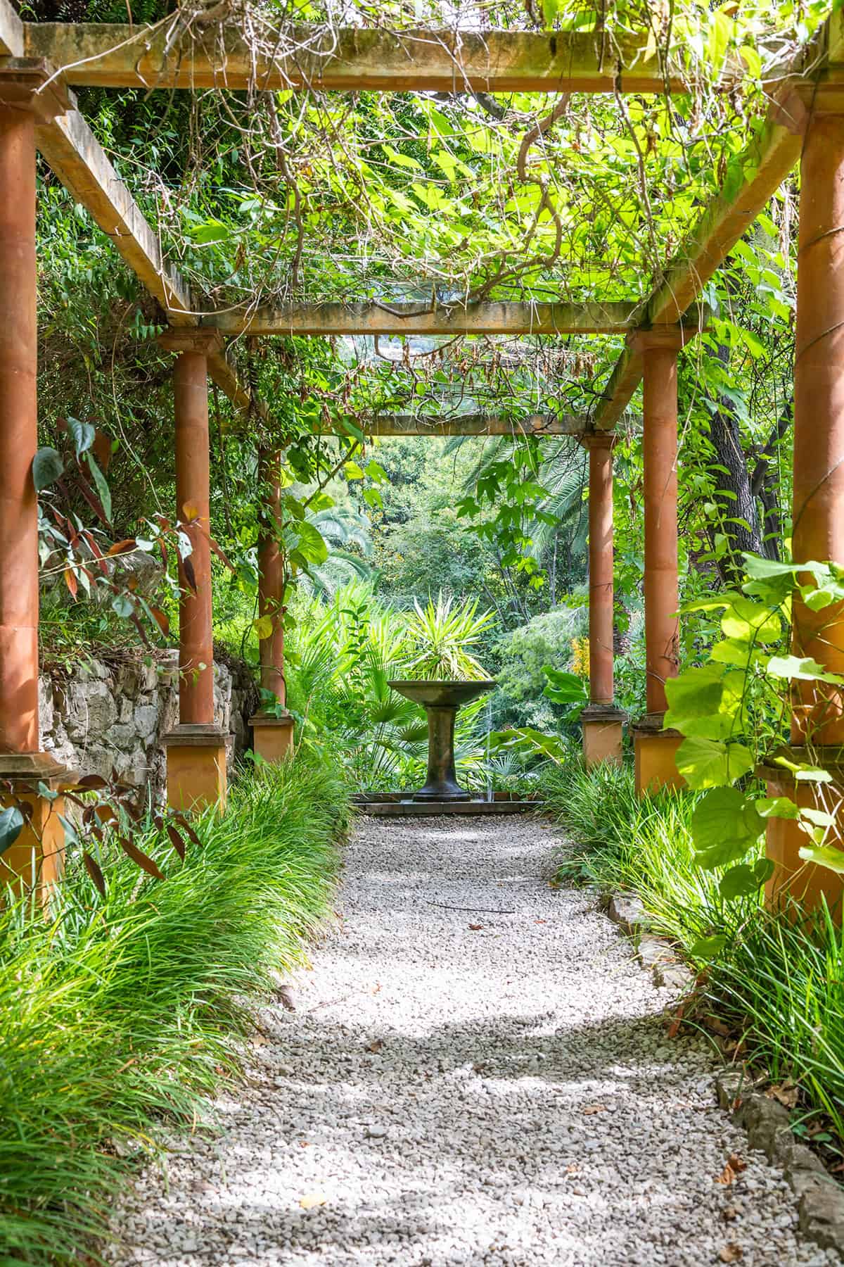 Romantic Garden Path with Pergola and Fountain