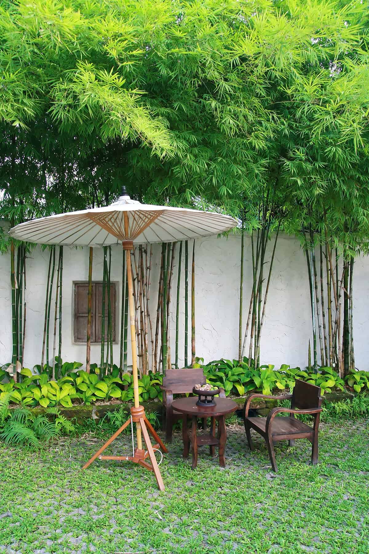 Shaded Garden Table in a Tropical Setting