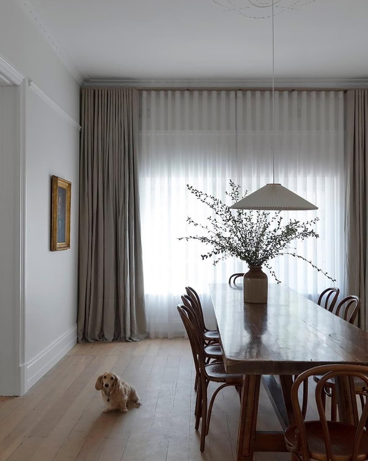 Sheer Curtains to Let Light In
