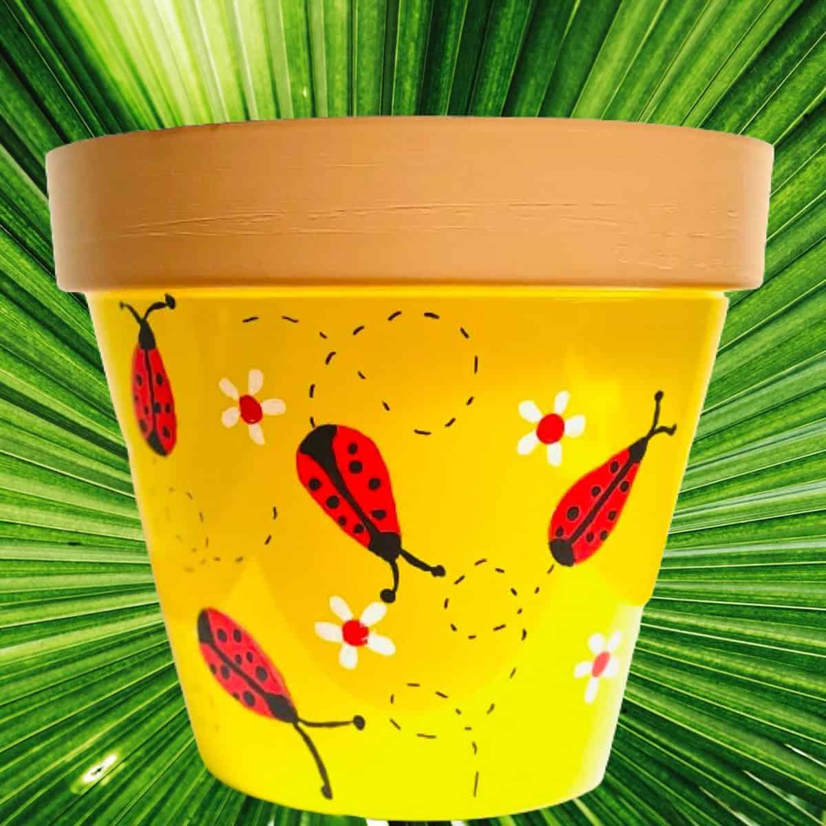 Shout Out to Ladybugs
