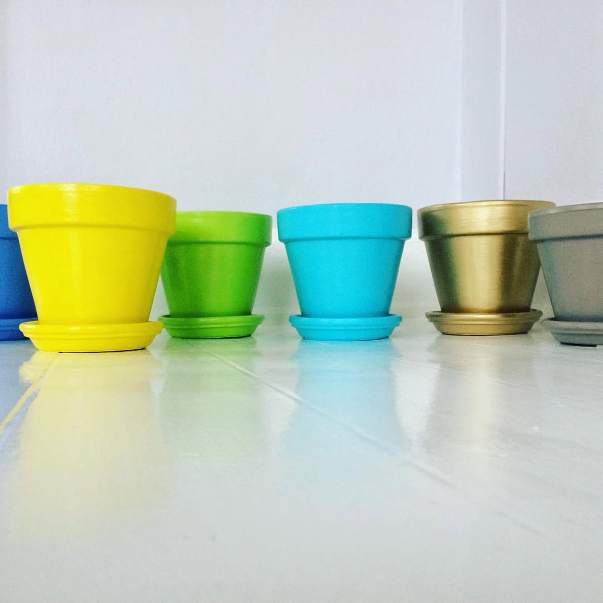Solid Colors