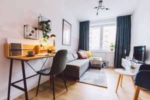 Studio Apartment Ideas