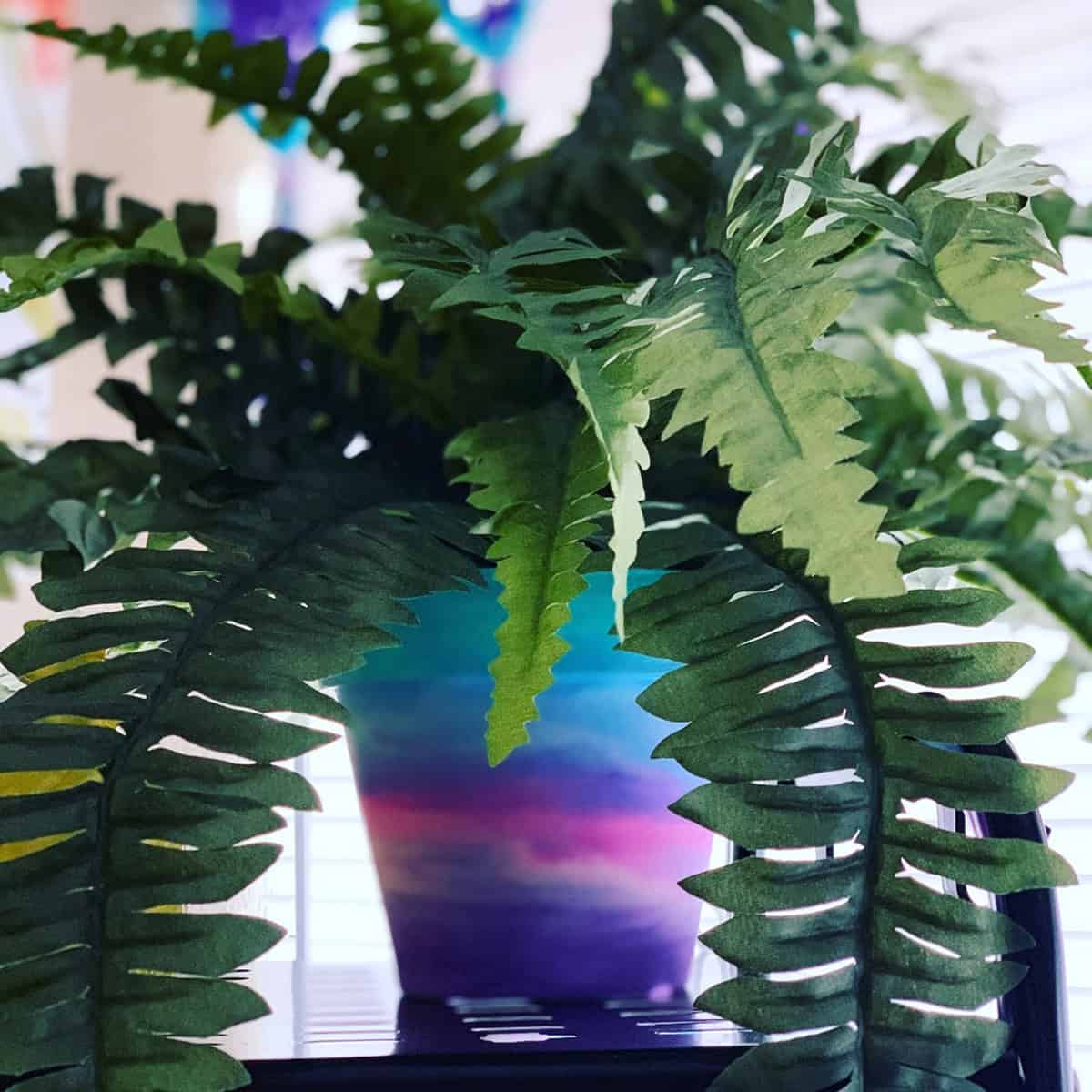 Sunset Gradient