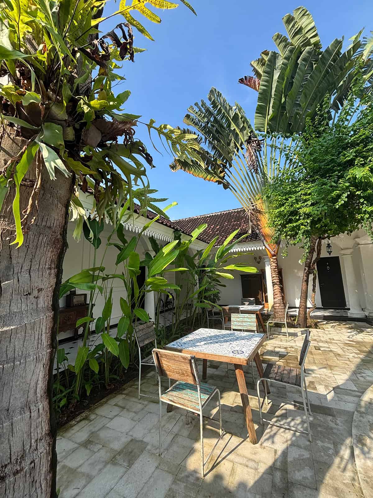 Tropical Patio with Simple Wood Seating