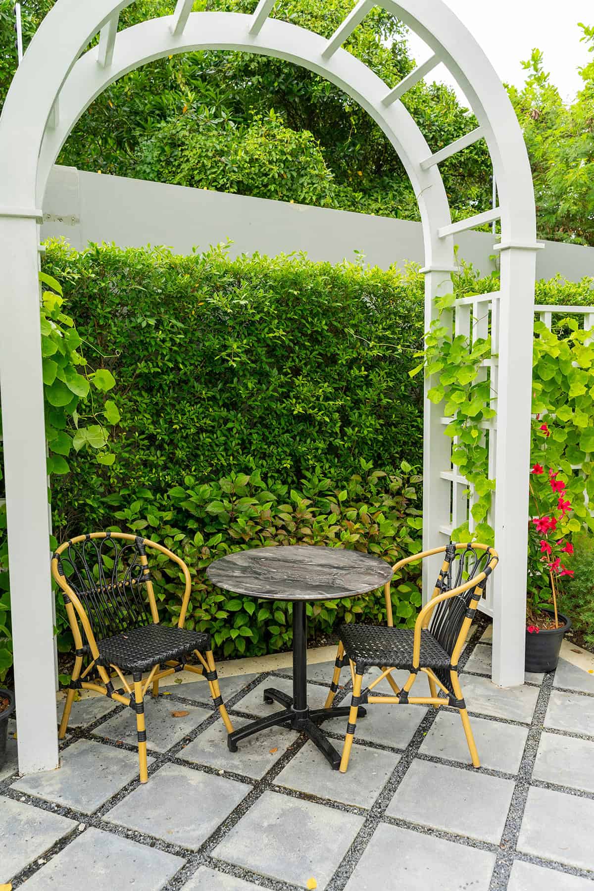 Wicker Seating Beneath a Canopy of Green