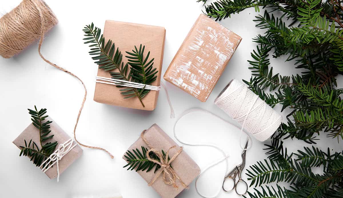 Evergreen Minimalism on White