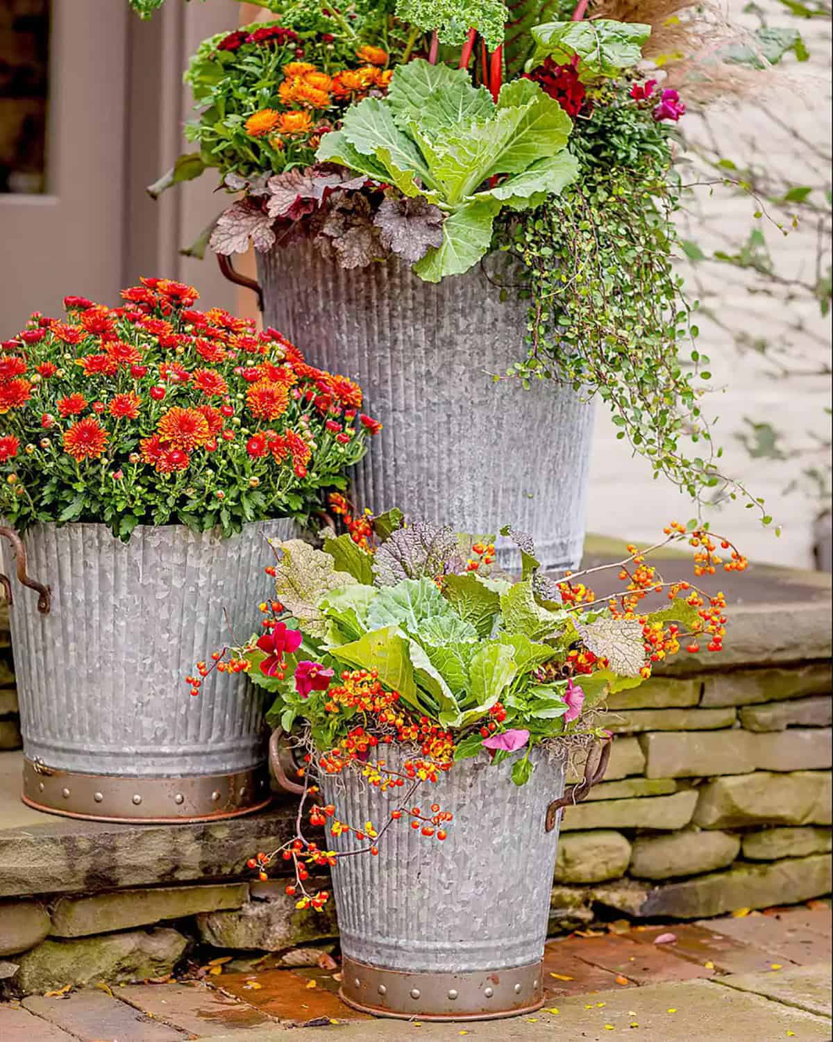 Galvanized Planters
