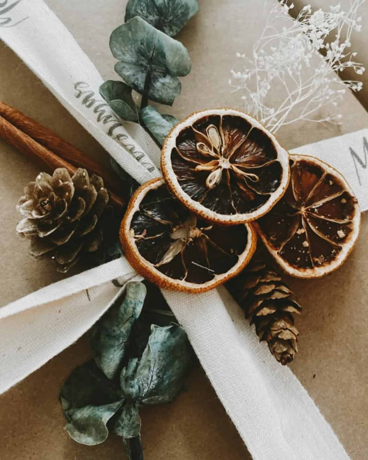 Get in Touch with Nature