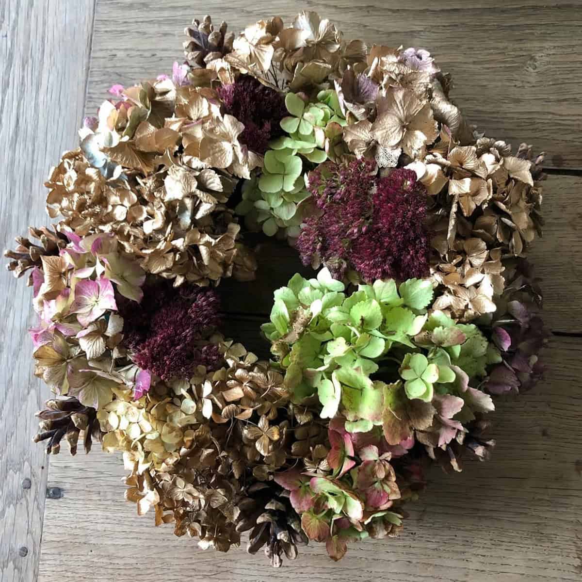 Hydrangea Heads