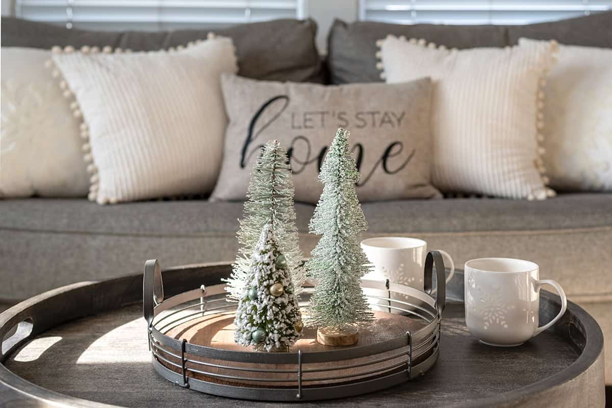 Neutral Winter Coffee Table Scene