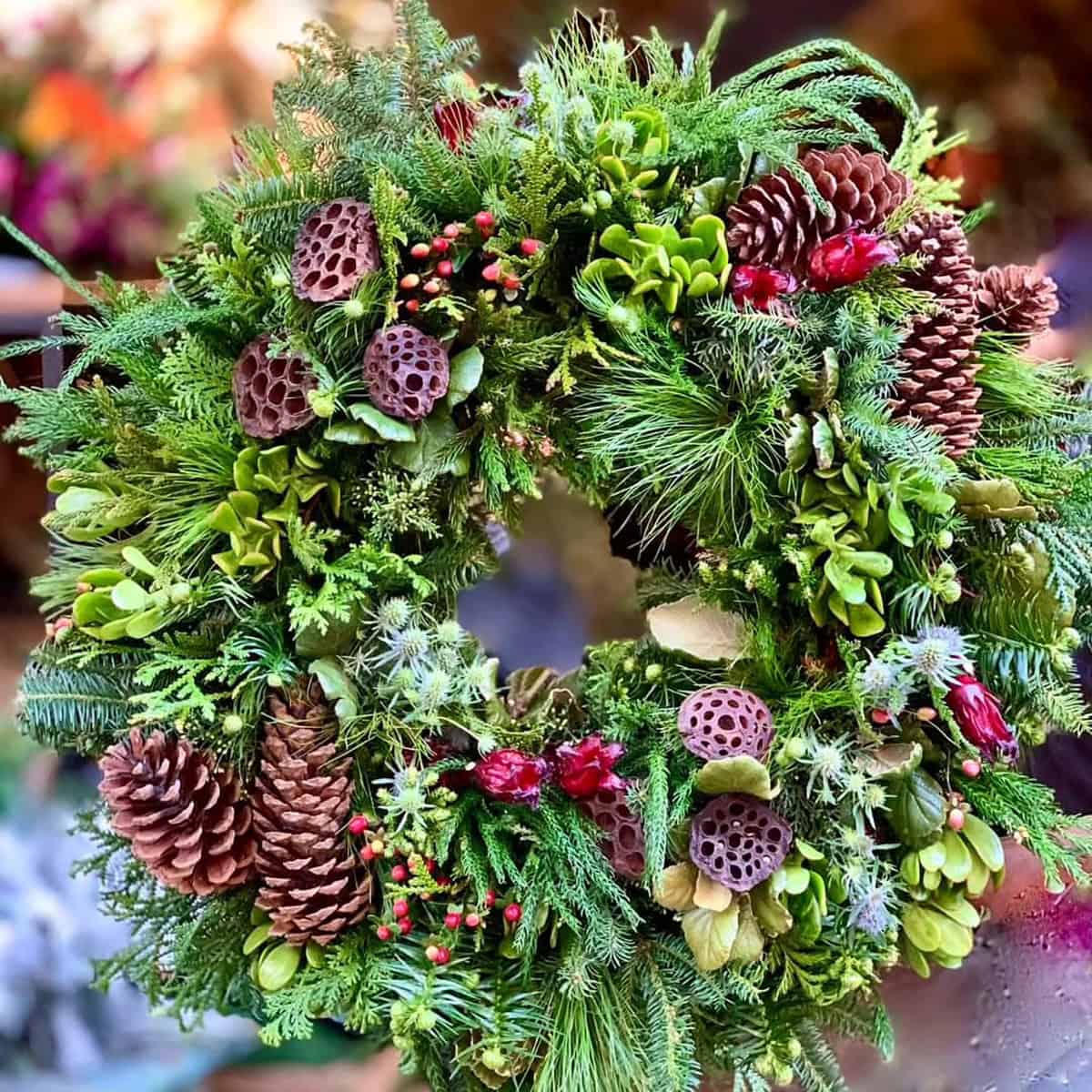Pinecones and Lotus Seed Pods