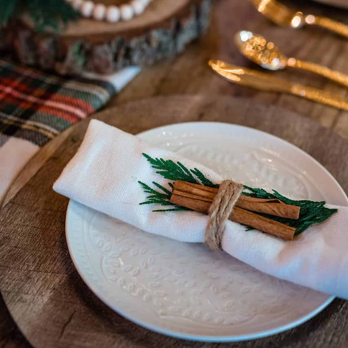Place Setting Accents