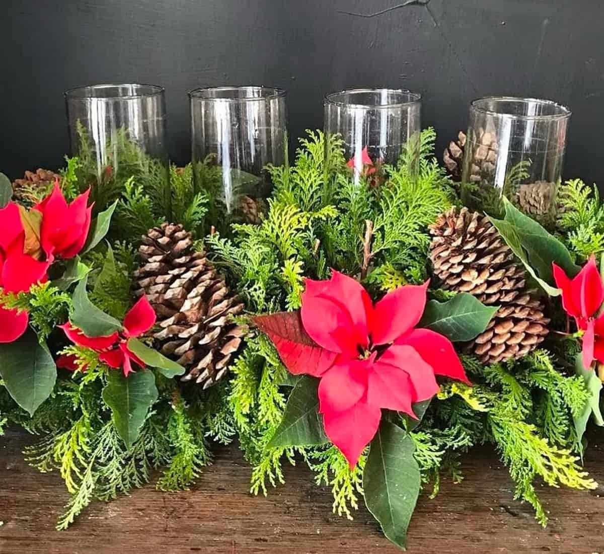 Poinsettias