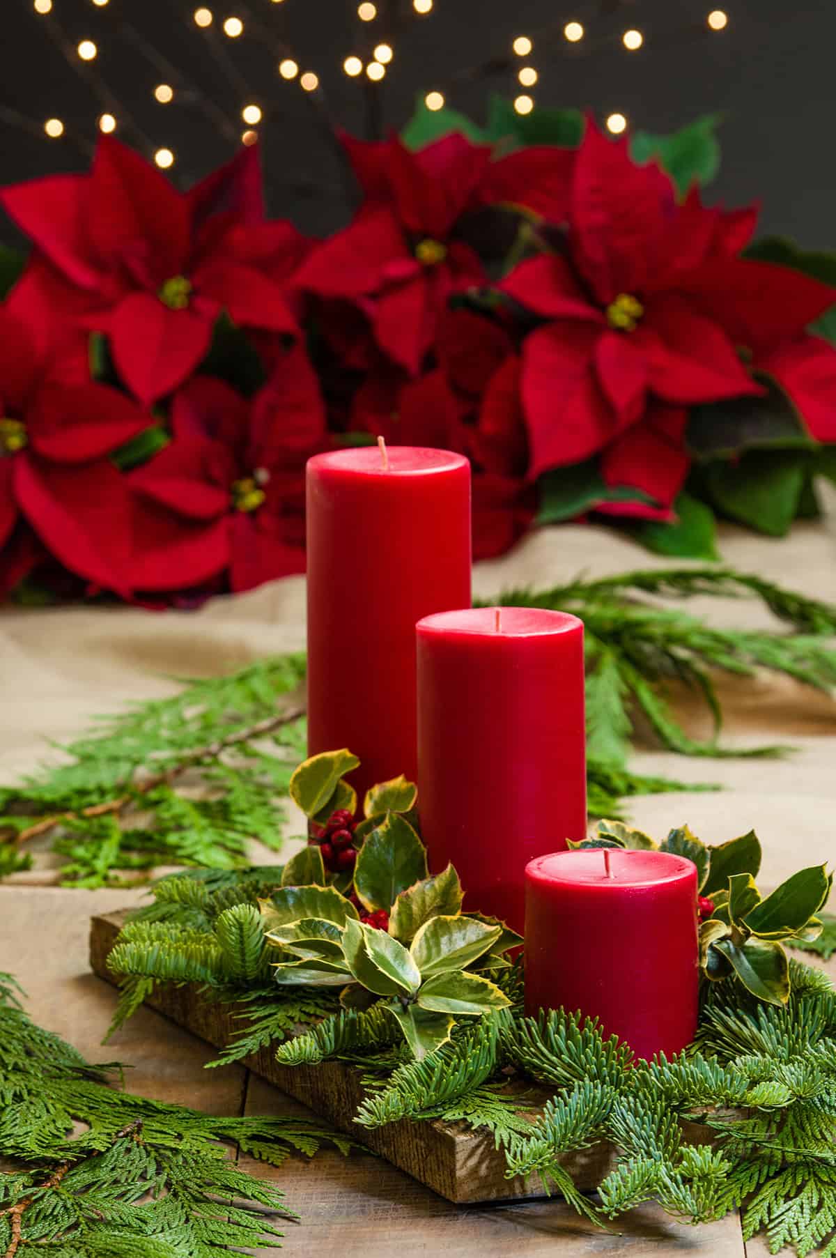 Red Pillar Candle Trio with Poinsettia Backdrop