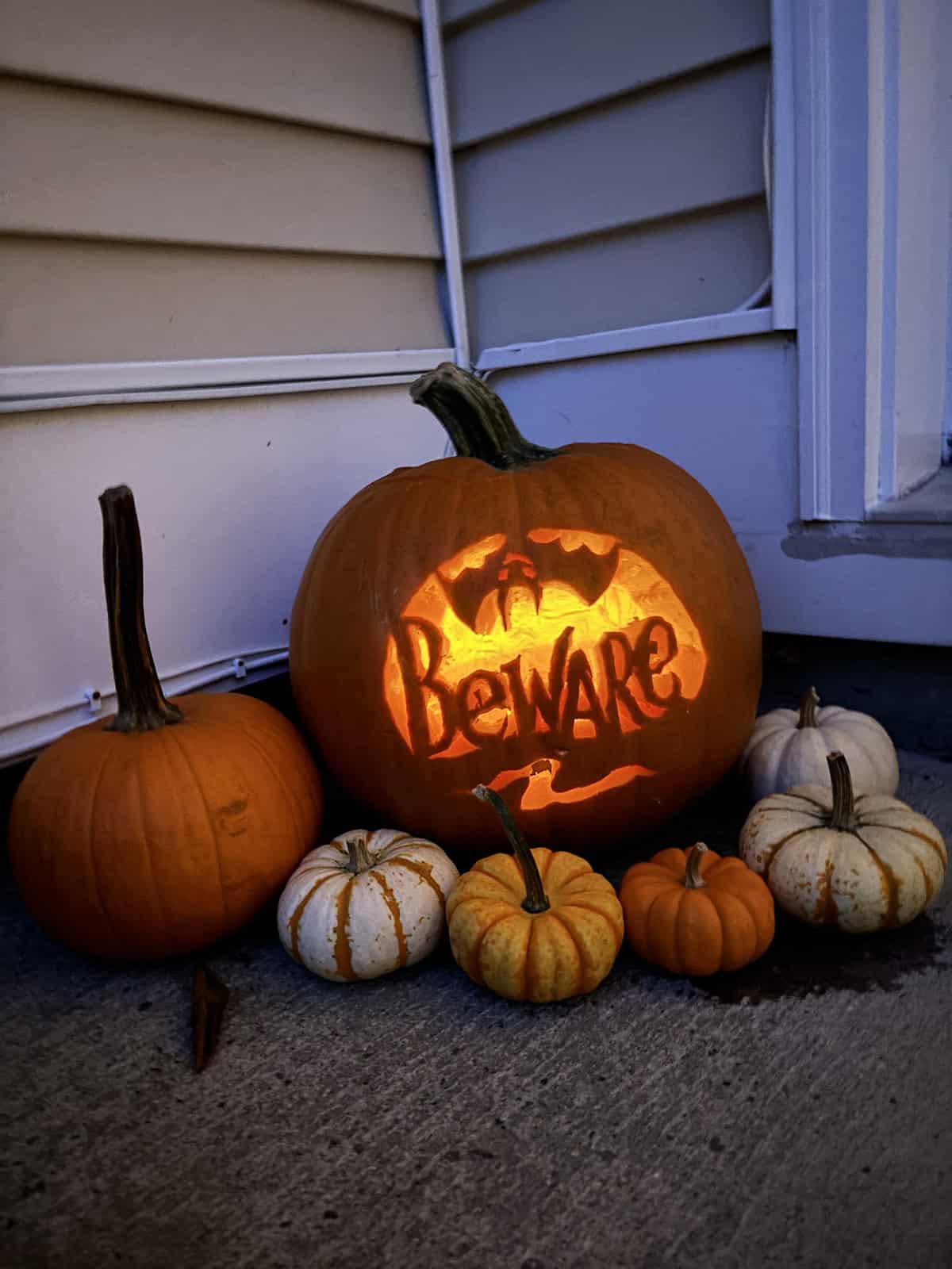 “Beware” Pumpkin with Bat Silhouette