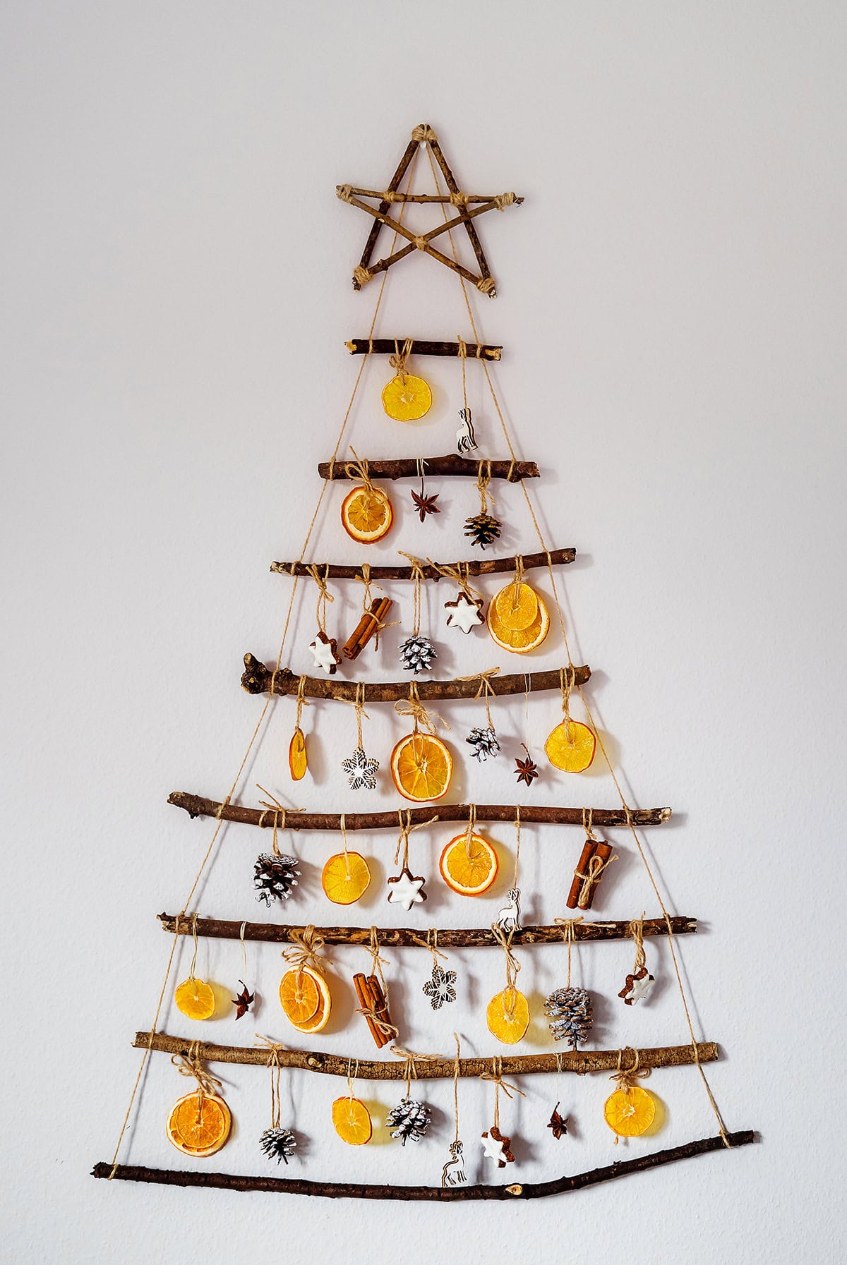 Branches with Dried Citrus