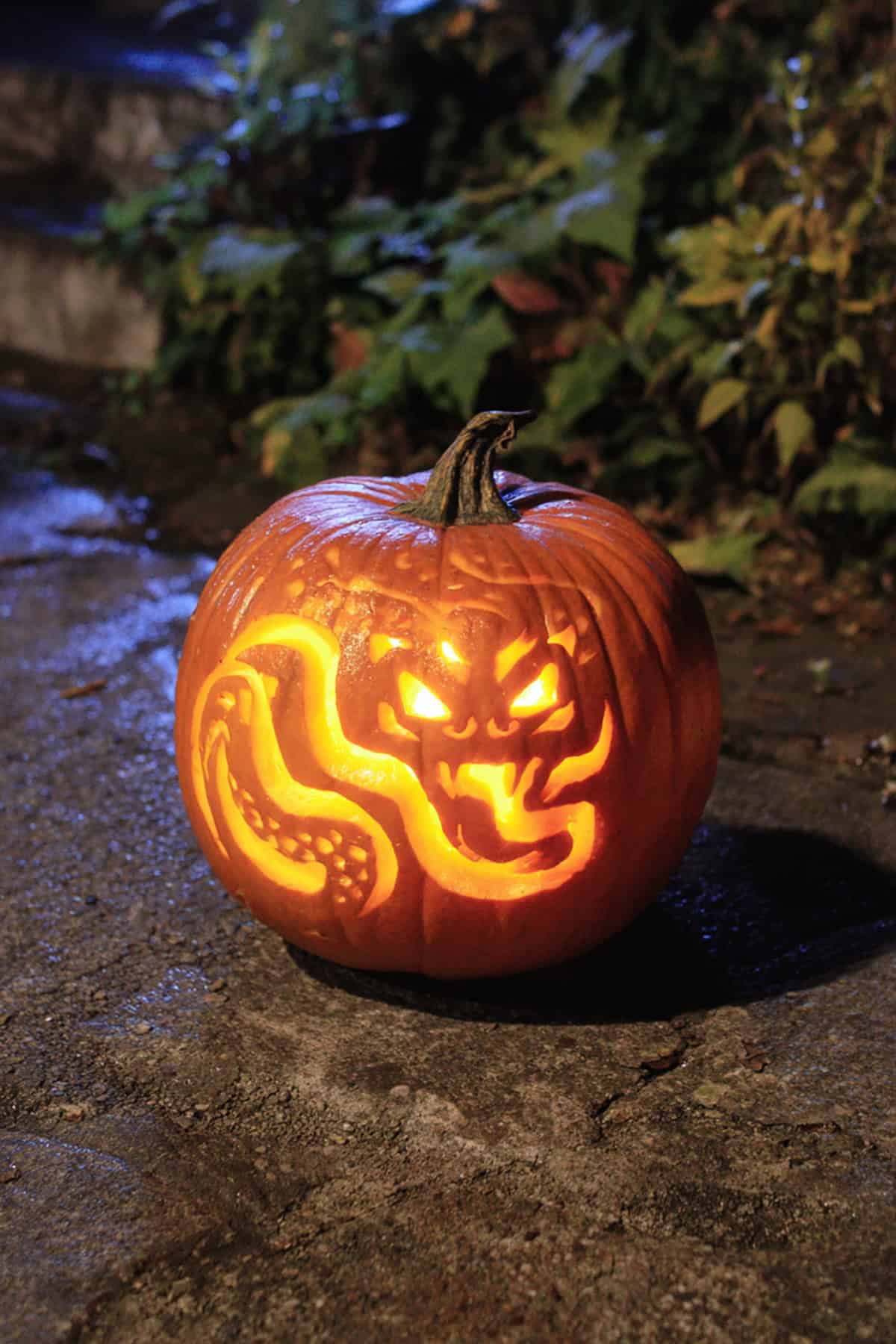 Coiled Snake Carving