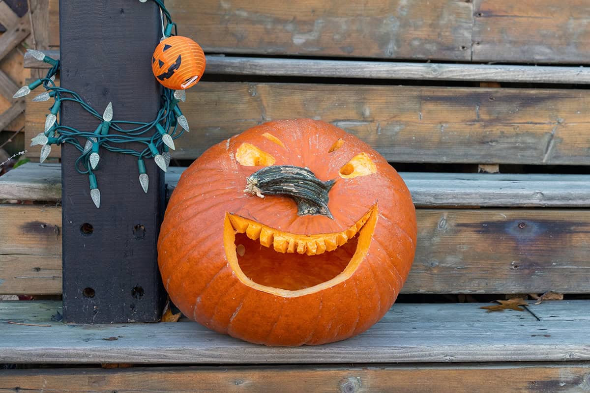 Crooked Smile Pumpkin