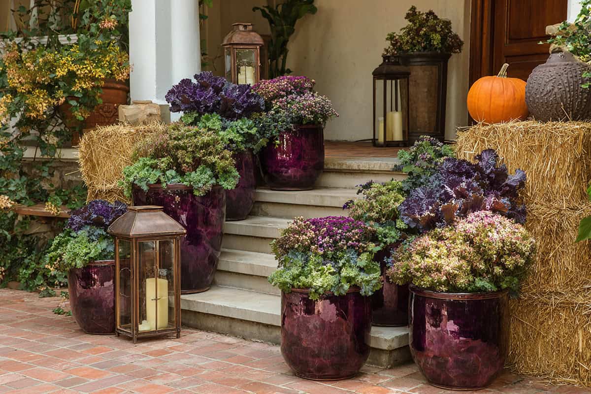 Deep Burgundy Ceramic Planters