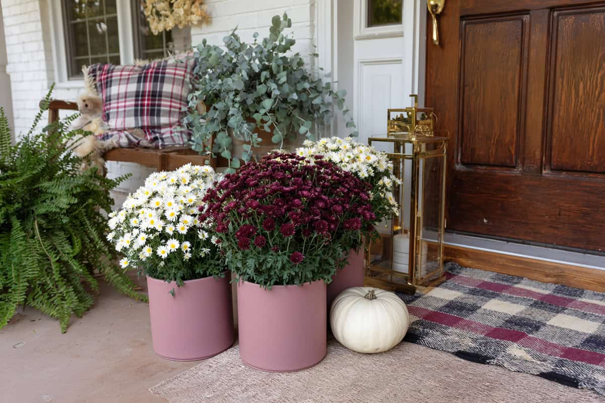 Dusty Rose Planters