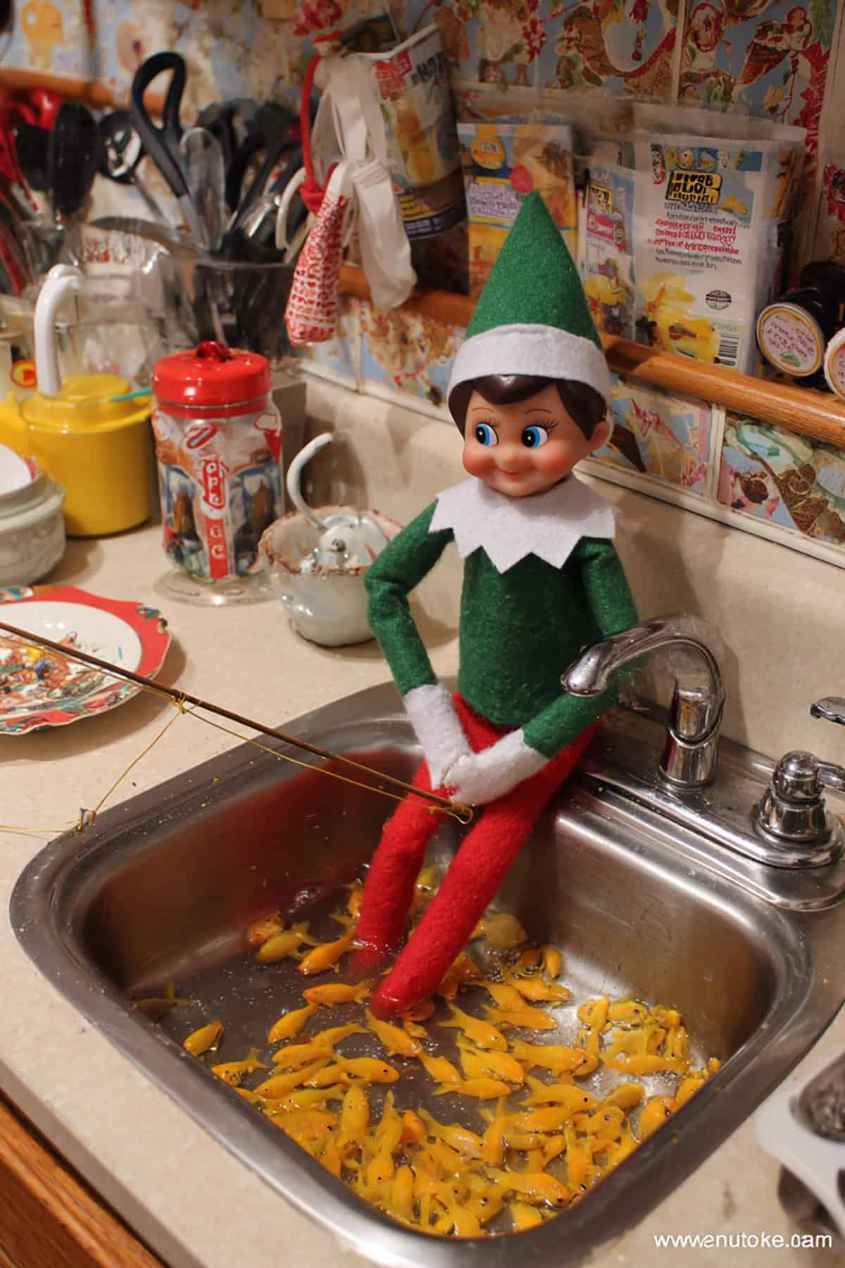 Fishing for Snacks in the Sink