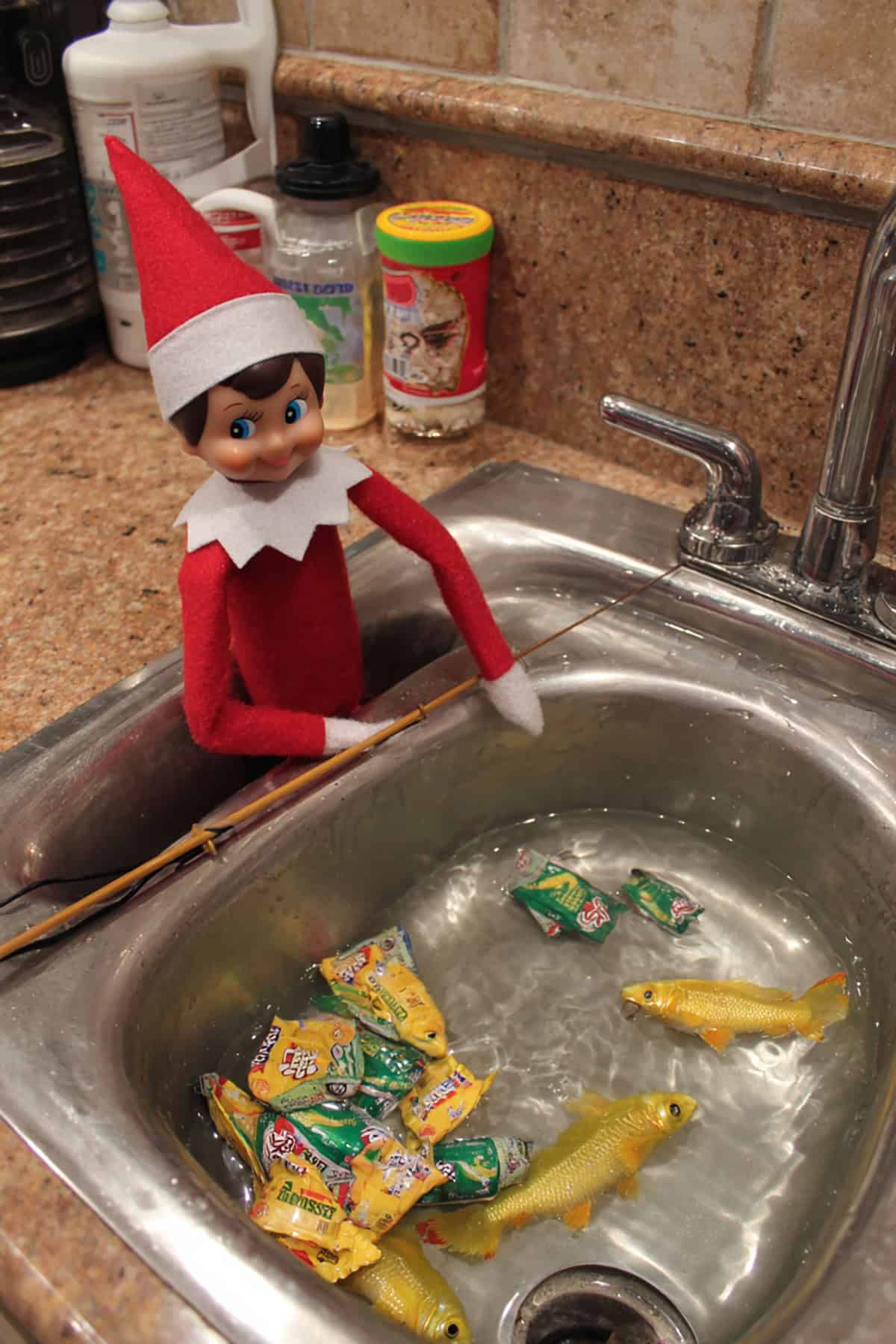 Fishing for Snacks in the Sink