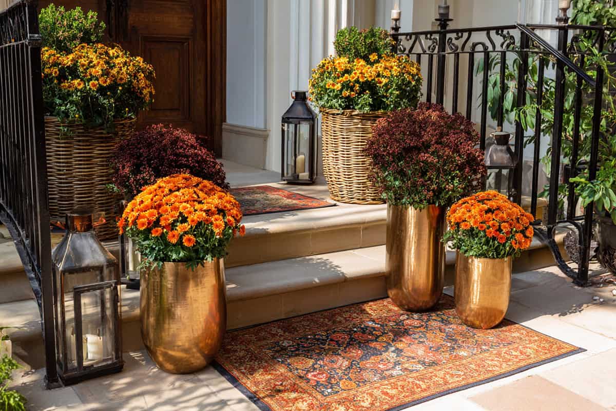 Golden Bronze Metallic Planters