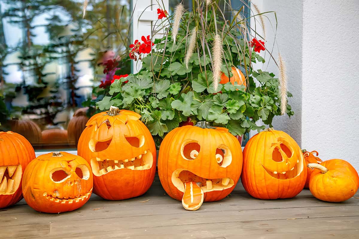 Group of Funny Pumpkins