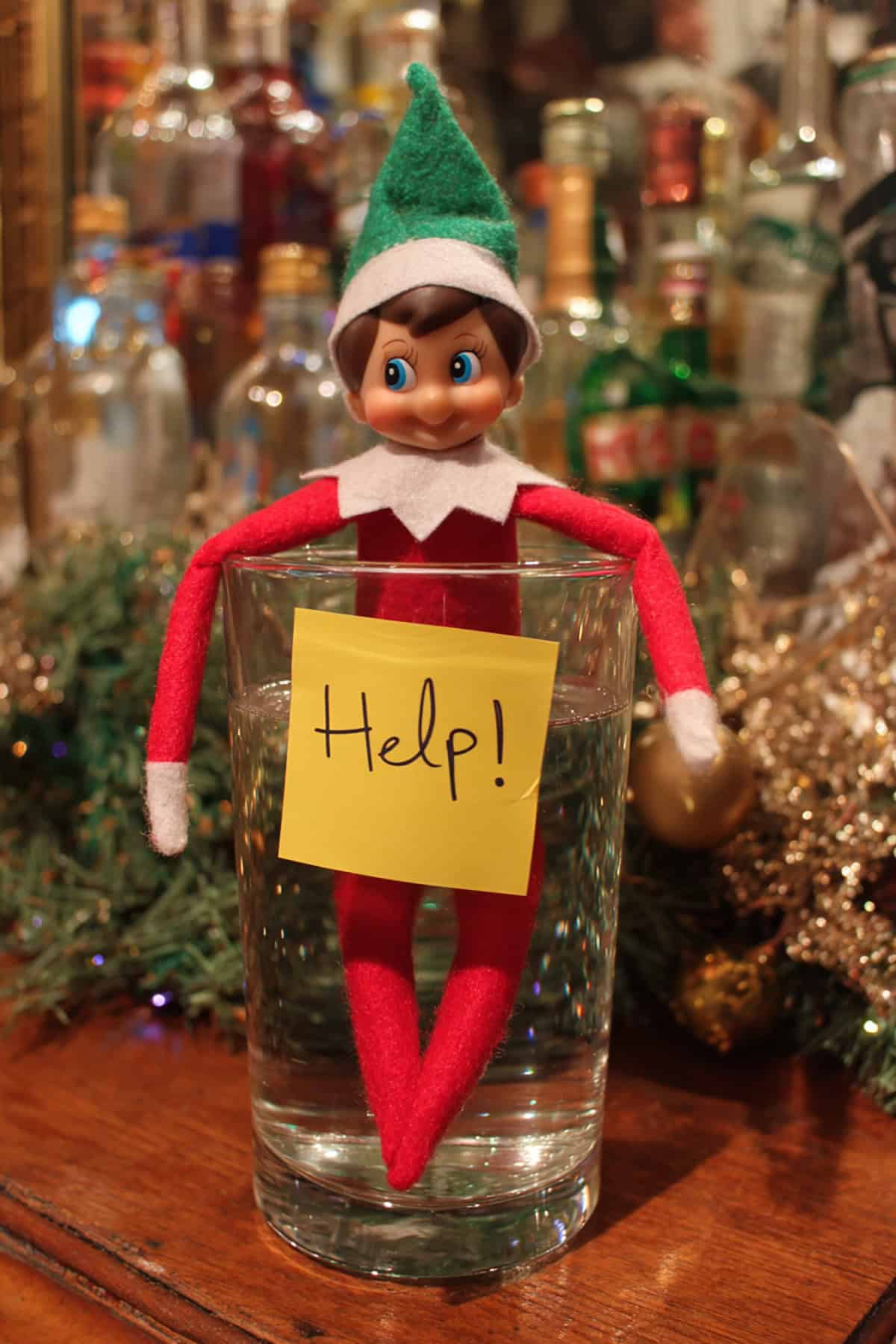 Help! Elf in a Glass Emergency