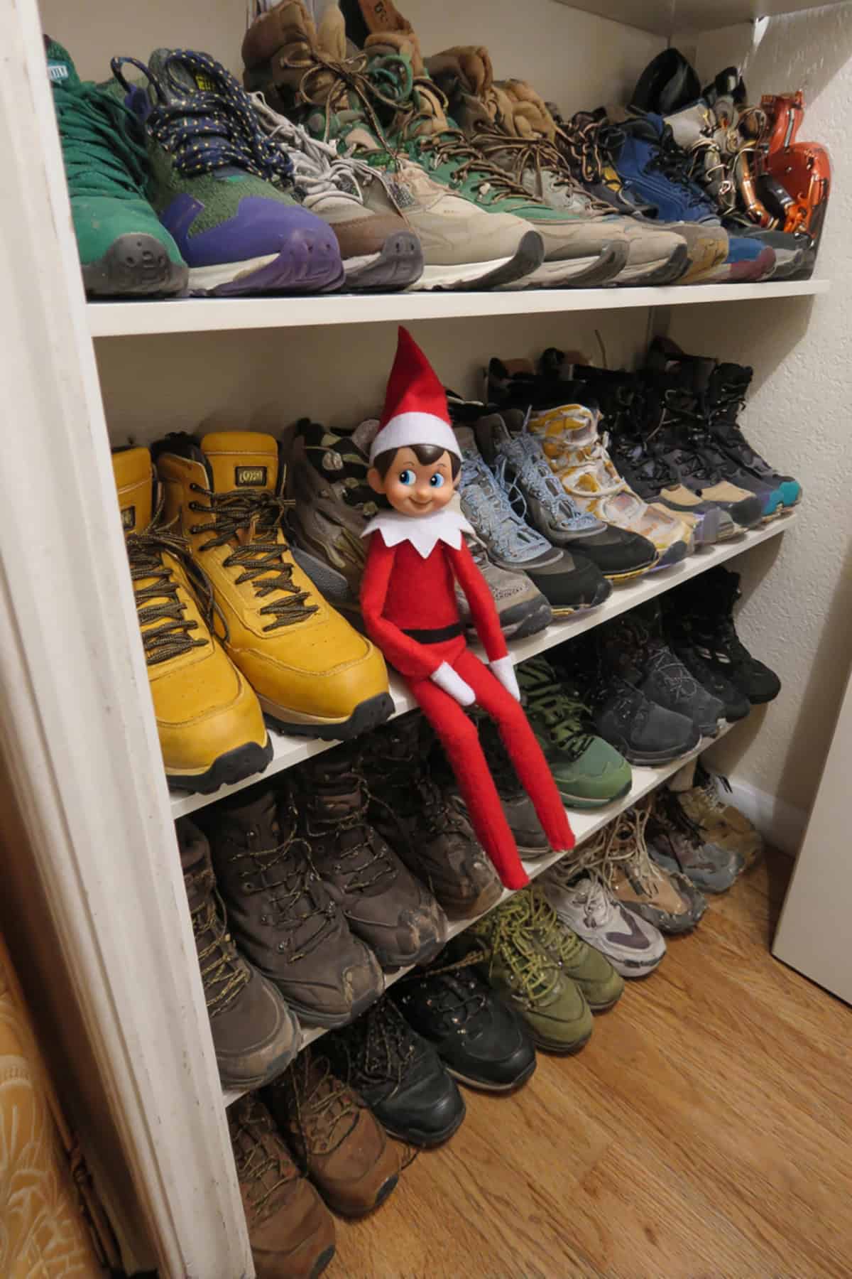 Hidden Among the Shoes