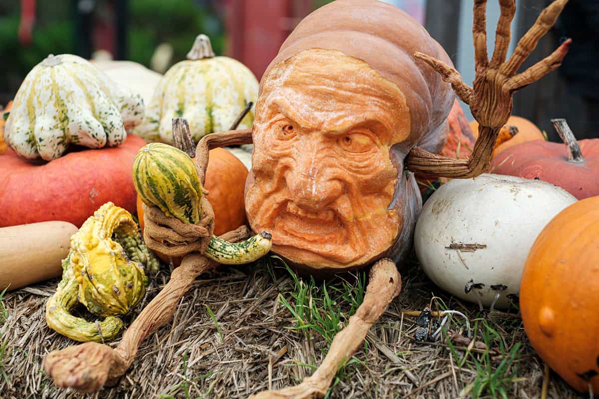Long Gourd with Fierce Expression