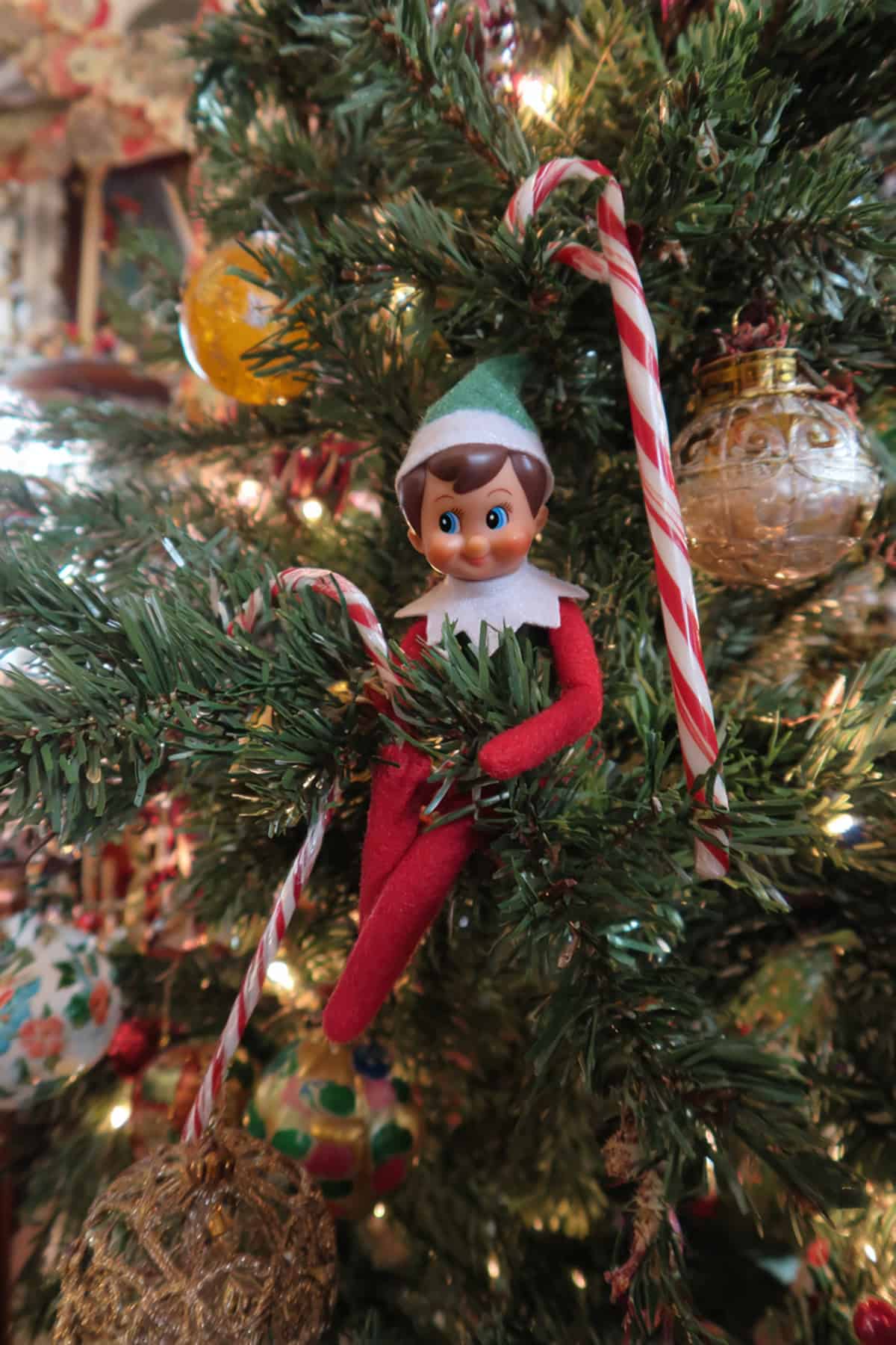 Lounging in the Christmas Tree