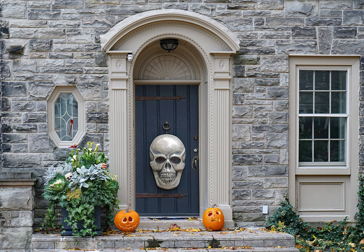 Metallic Skull Door