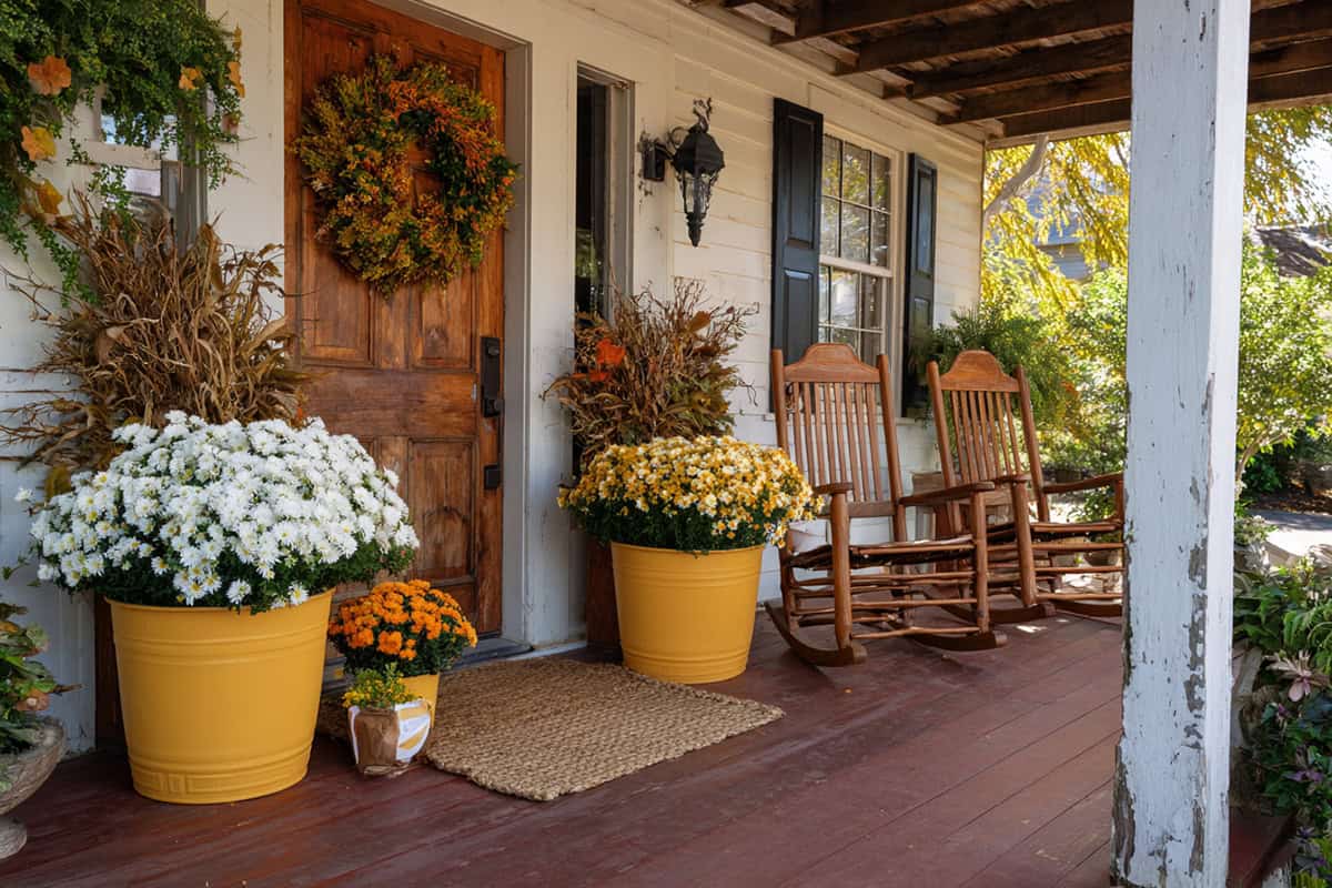 Mustard Yellow Planters