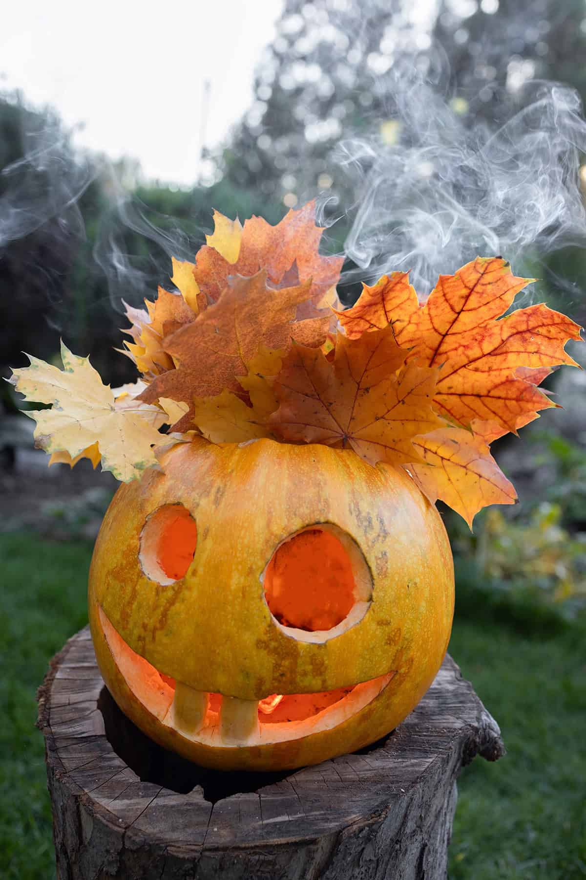 Pumpkin Crowned With Autumn Leaves