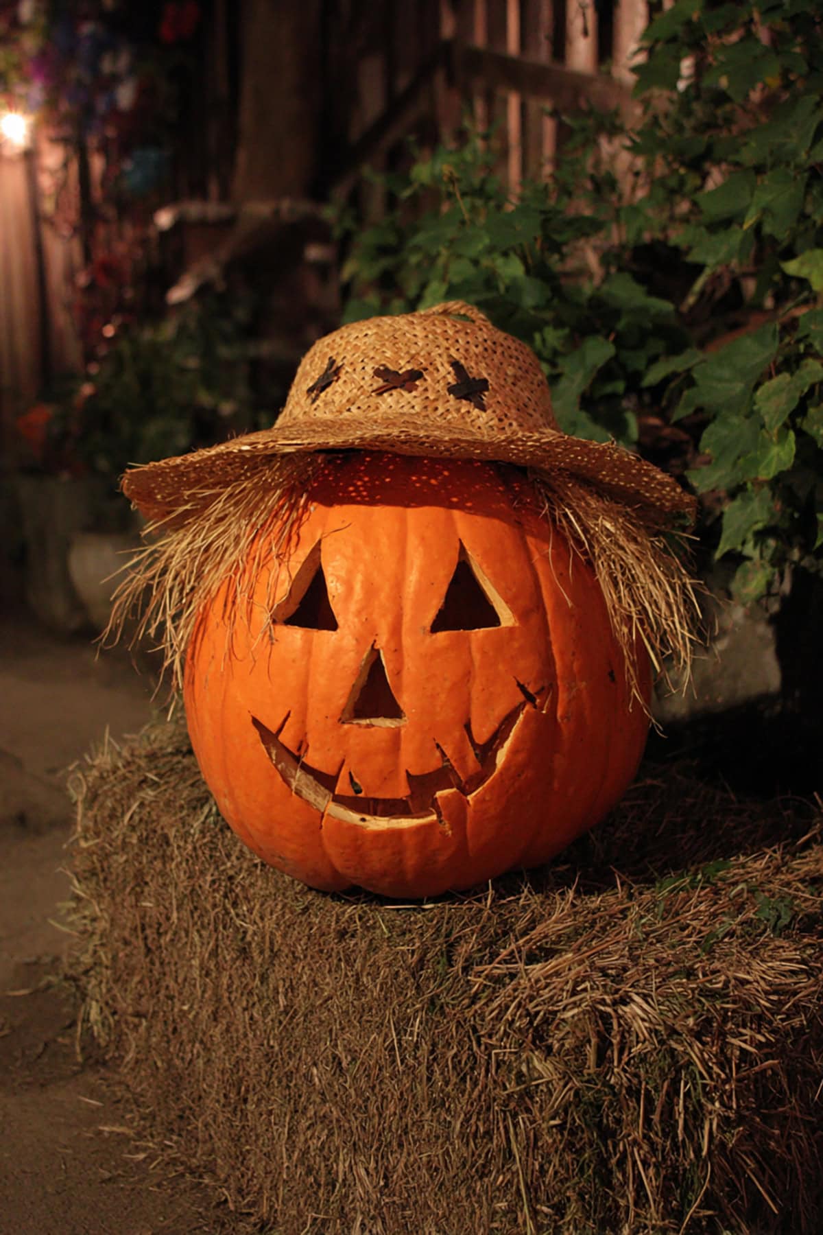 Scarecrow with a Straw Hat